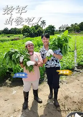 一起去露营吧 综艺在线观看